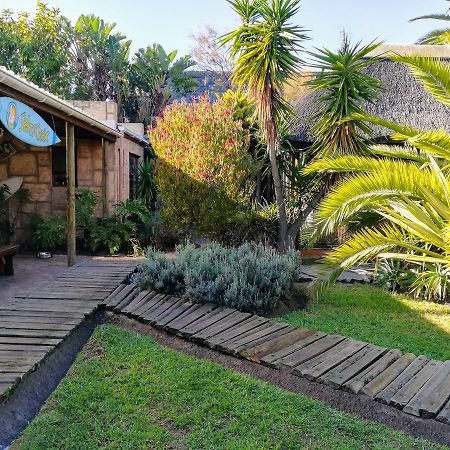 Saltycrax Backpackers And Surf Hostel By Curiocity Bloubergstrand Dış mekan fotoğraf