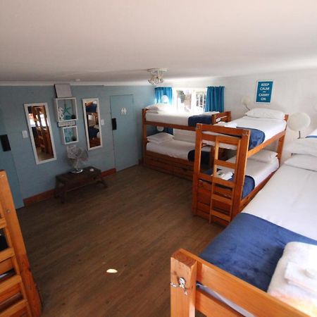 Saltycrax Backpackers And Surf Hostel By Curiocity Bloubergstrand Dış mekan fotoğraf