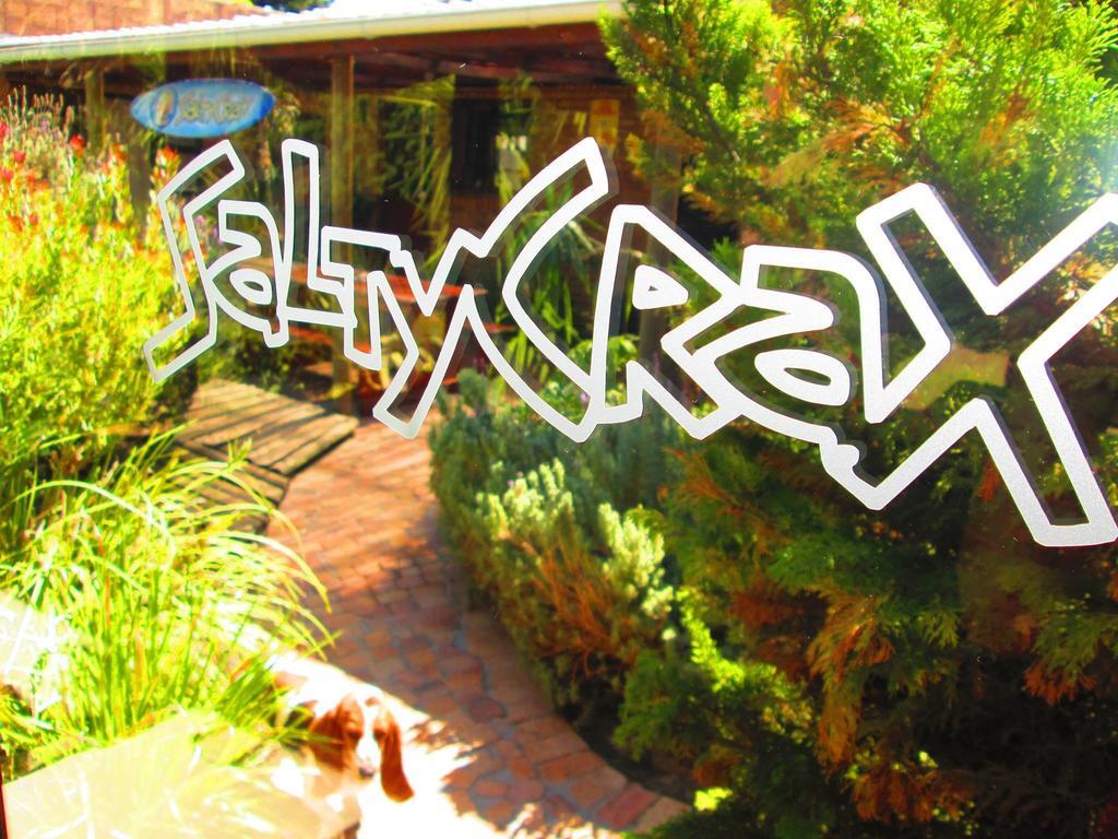 Saltycrax Backpackers And Surf Hostel By Curiocity Bloubergstrand Dış mekan fotoğraf